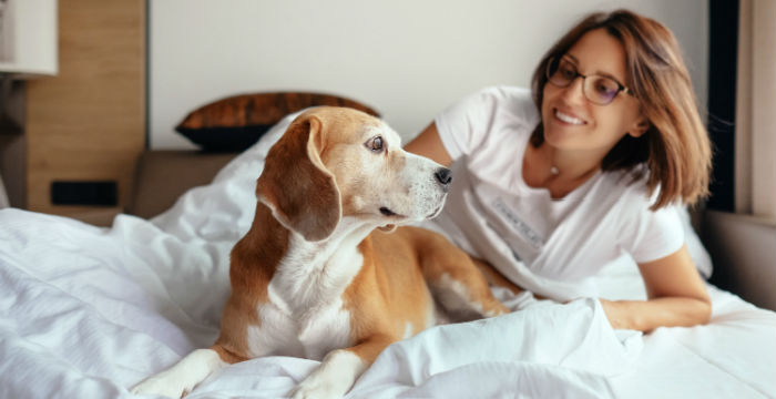 A woman and her small dog lying on an unmade bed.